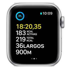 Connected Watch Apple Watch Series SE GPS 40mm Silver Aluminium (Without Bracelet) - Grade AB