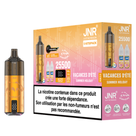 Vapoteuse E-Liquide Rechargeable JNR Panda 25500 Puffs Ultimate Summer Holiday Vape