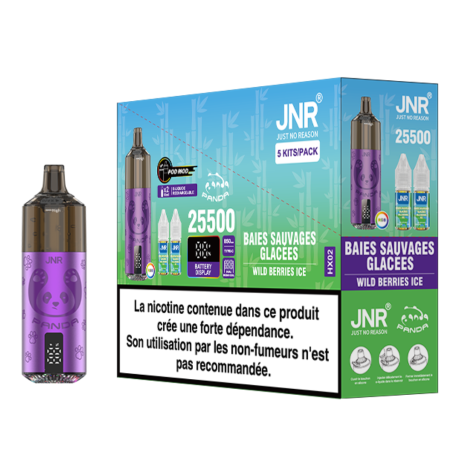 Vapoteuse Rechargeable JNR Panda 25500 Puffs - Saveur Baies Sauvages Glacées - Qualité Premium E-Liquide