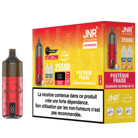 Vapoteuse E-Liquide JNR Panda 25500 Puffs - Strawberry Watermelon Ice - Rechargeable Vaping Delight