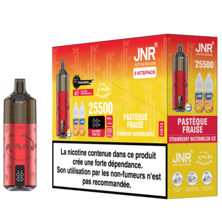 Vapoteuse Rechargeable JNR Panda 25500 Puffs - E-Liquide Pastèque Fraise Exquis