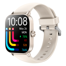 Smartwatch, Wearable - Montre Connectée 300mAh REMAX WATCH20 - Écran TFT de 1,83 pouce - Longue Autonomie - Argent, prix de gros