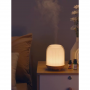 Mini Perfume Humidifier ASIAMIST - Enhance Your Air with Style and Scent