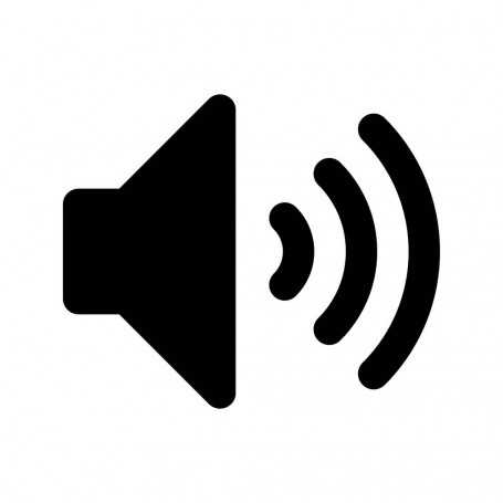 Haut-Parleur Samsung Galaxy S22 (S901)