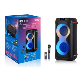 Enceinte Bluetooth NDR-610 avec Microphone - 2x6,5" - 800W - Noir