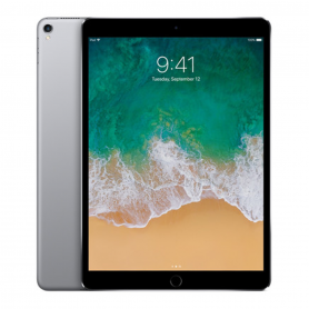 Achetez l'iPad Pro 12.9" 256 Go Cellulaire Gris Sidéral Grade AB - Performance Haut de Gamme