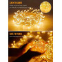 LED Copper Wire Garland Wedding & Holiday Lights USB 3M 100 Lights – Perfect for Home & Christmas Decorations