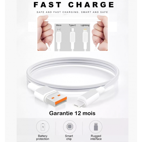 Câble Renforcé en Vrac Fast Charging 2,4A En Sécurité Garantie 12 Mois - Lightning/Type C/Micro USB